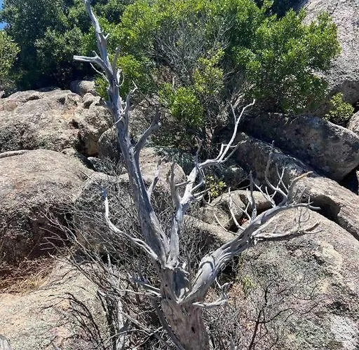 Appartement T3 Avec Spa, Hyper Centre, Port *