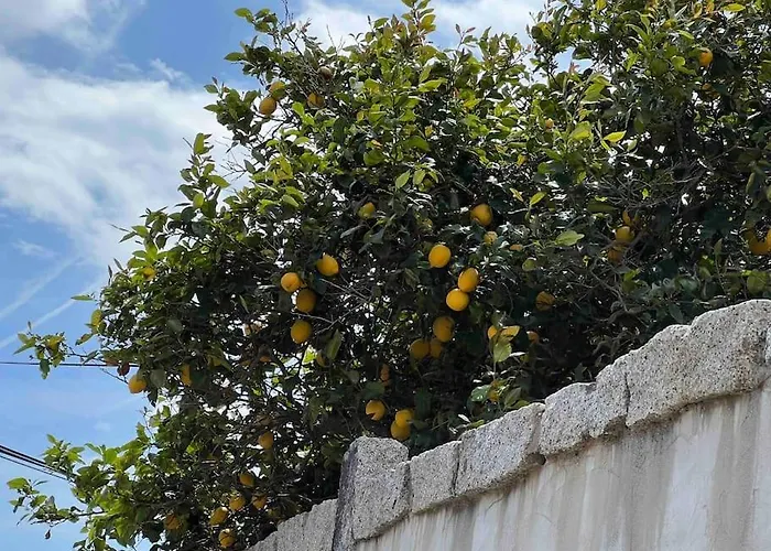 Appartement T3 Avec Spa, Hyper Centre, Port